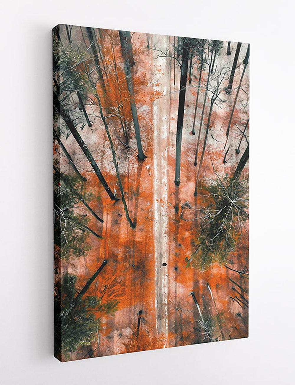 Autumn Forest Path Aerial Canvas Print & Poster – T586 – AiPrintLab
