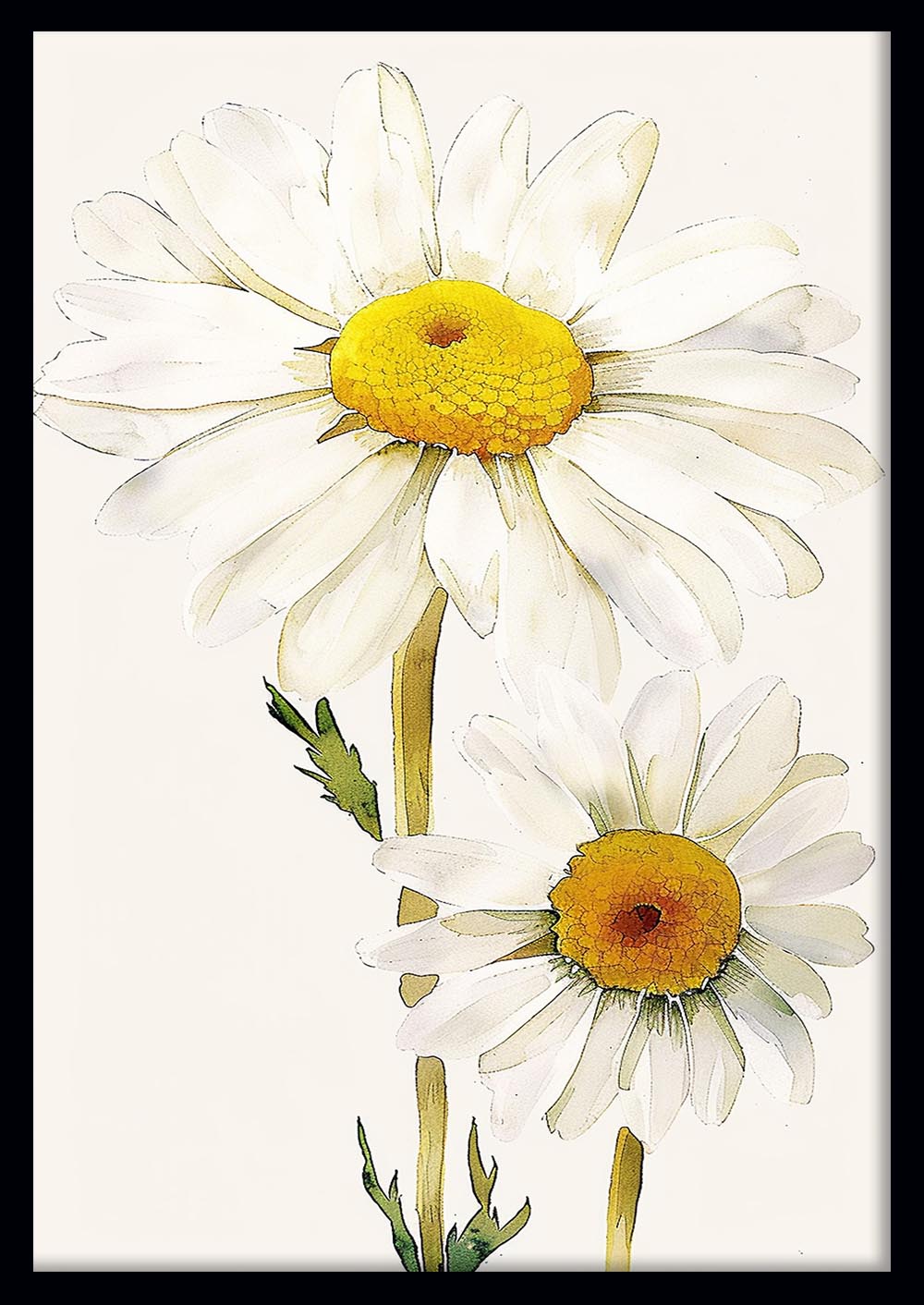 Botanical Daisy Flower Illustration – Minimalist Floral Canvas & Poster Print – T1191 – AiPrintLab