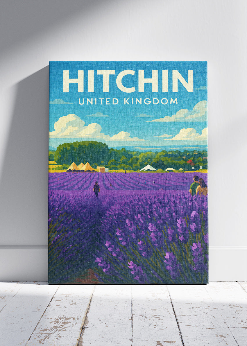 Hitchin Lavender Field Poster & Canvas Print – Illustrated Hertfordshire Art – A1000