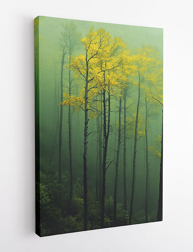 Misty Forest Trees Canvas Wall Art & Poster Print | Serene Green Woodland Landscape – T1338 – Aiprintlab 2