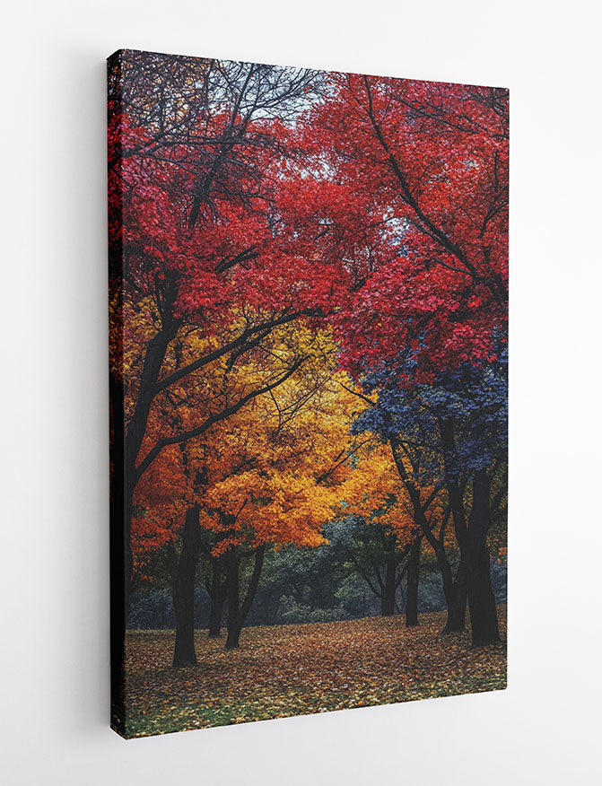 Vibrant Autumn Forest – Multicolor Fall Trees Canvas & Poster Print – T1412 –