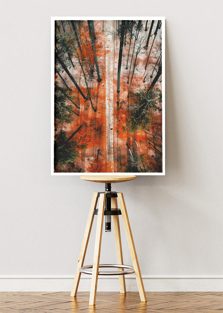 Autumn Forest Aerial Path Landscape Canvas & Poster Print – AI PRINT LAB