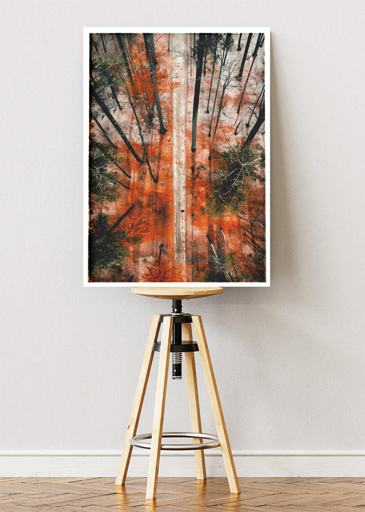 Autumn Forest Aerial Path Landscape Canvas & Poster Print – AI PRINT LAB