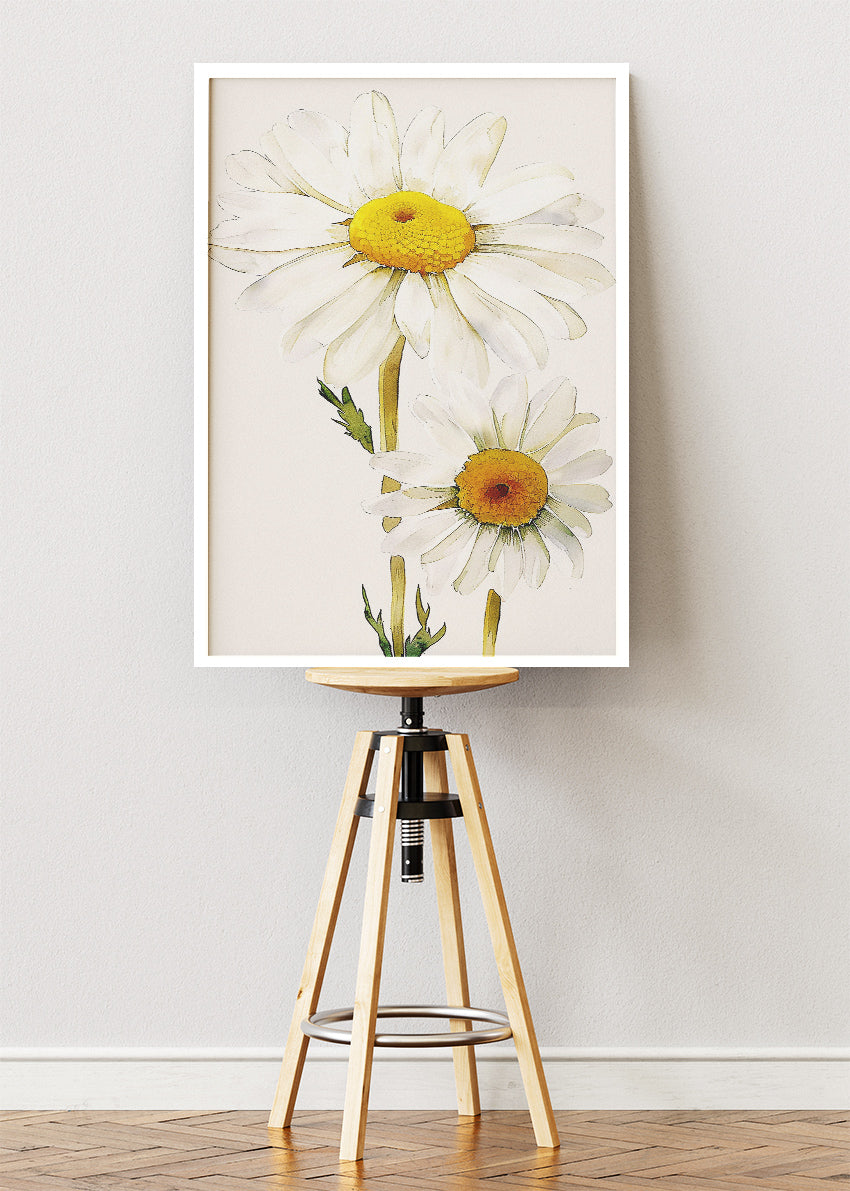 Minimal Daisy Flower Wall Art – White Botanical Canvas Print & Soft Neutral Floral Poster for Modern Living Room Decor UK