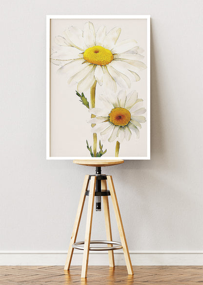 Minimal Daisy Flower Wall Art – White Botanical Canvas Print & Soft Neutral Floral Poster for Modern Living Room Decor UK