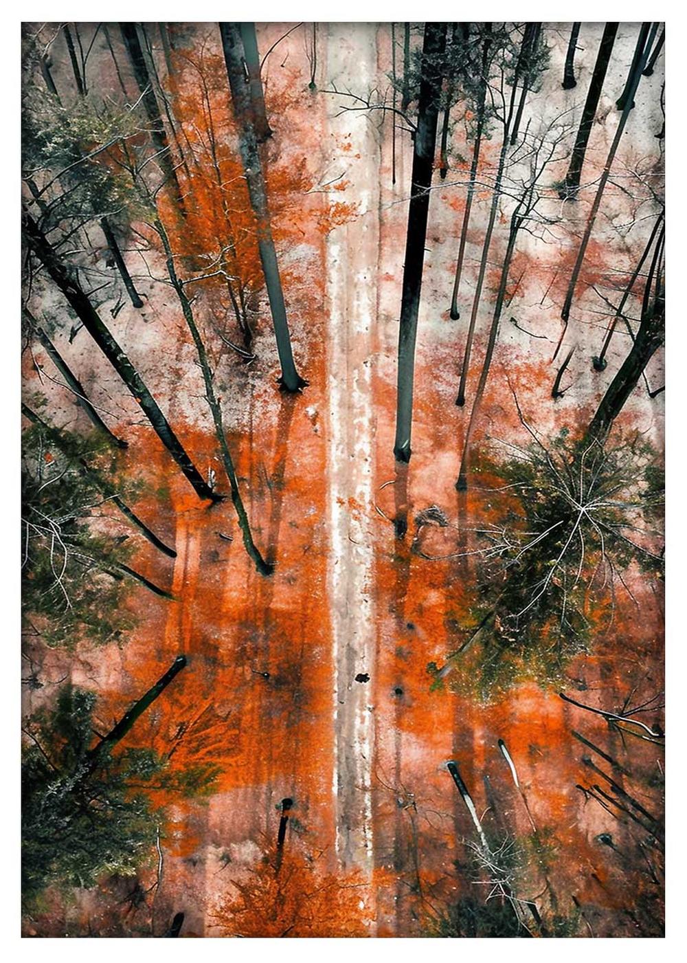Autumn Forest Path Aerial Canvas Print & Poster – T586 – AiPrintLab