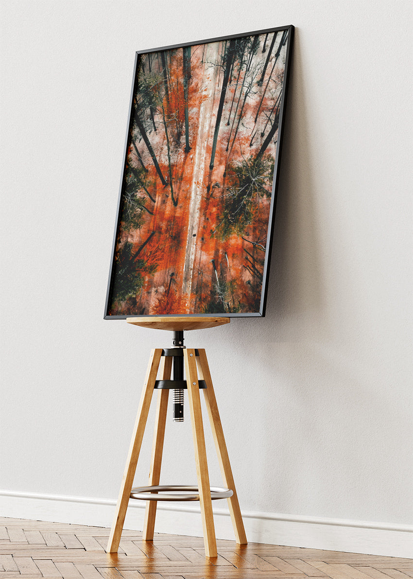 Autumn Forest Aerial Path Landscape Canvas & Poster Print – AI PRINT LAB