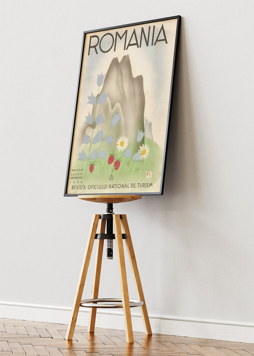 Romania Vintage Mountain & Wildflower Poster & Canvas Print – Classic Romanian Travel Art