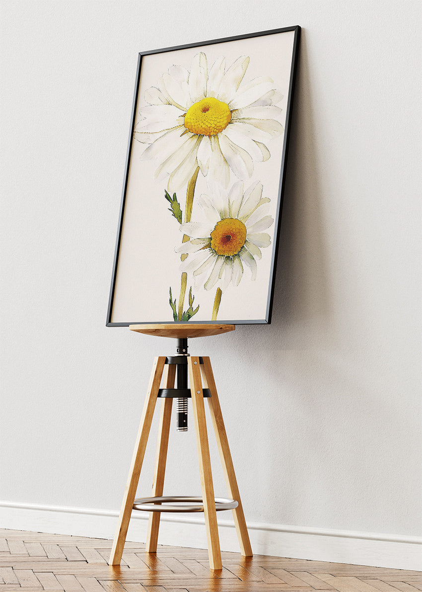 Minimal Daisy Flower Wall Art – White Botanical Canvas Print & Soft Neutral Floral Poster for Modern Living Room Decor UK