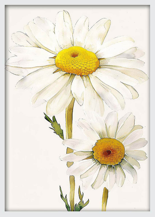 Botanical Daisy Flower Illustration – Minimalist Floral Canvas & Poster Print – T1191 – AiPrintLab
