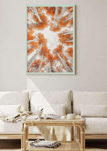 Autumn Birch Tree Canopy Wall Art – Orange Woodland Sky View Canvas Print & Modern Nature Poster for Living Room Decor UK