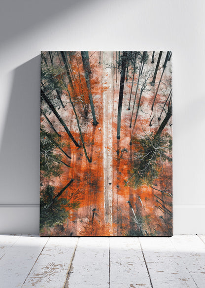 Autumn Forest Aerial Path Landscape Canvas & Poster Print – AI PRINT LAB