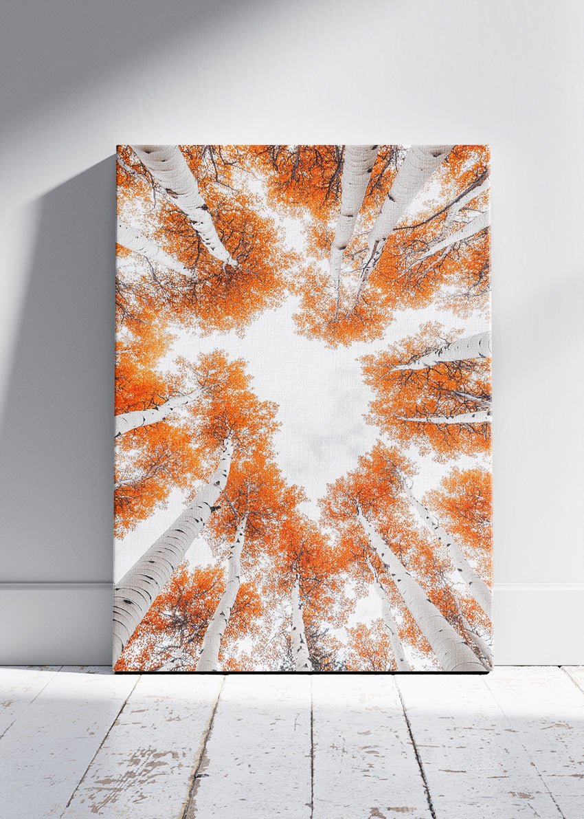 Autumn Birch Tree Canopy Wall Art – Orange Woodland Sky View Canvas Print & Modern Nature Poster for Living Room Decor UK