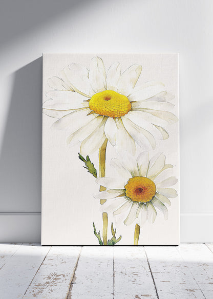 Minimal Daisy Flower Wall Art – White Botanical Canvas Print & Soft Neutral Floral Poster for Modern Living Room Decor UK