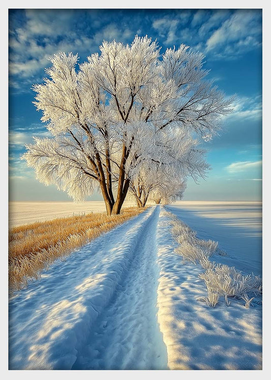 Frosty Winter Path Wall Art – Serene Snow Landscape Canvas & Poster – T1444 –