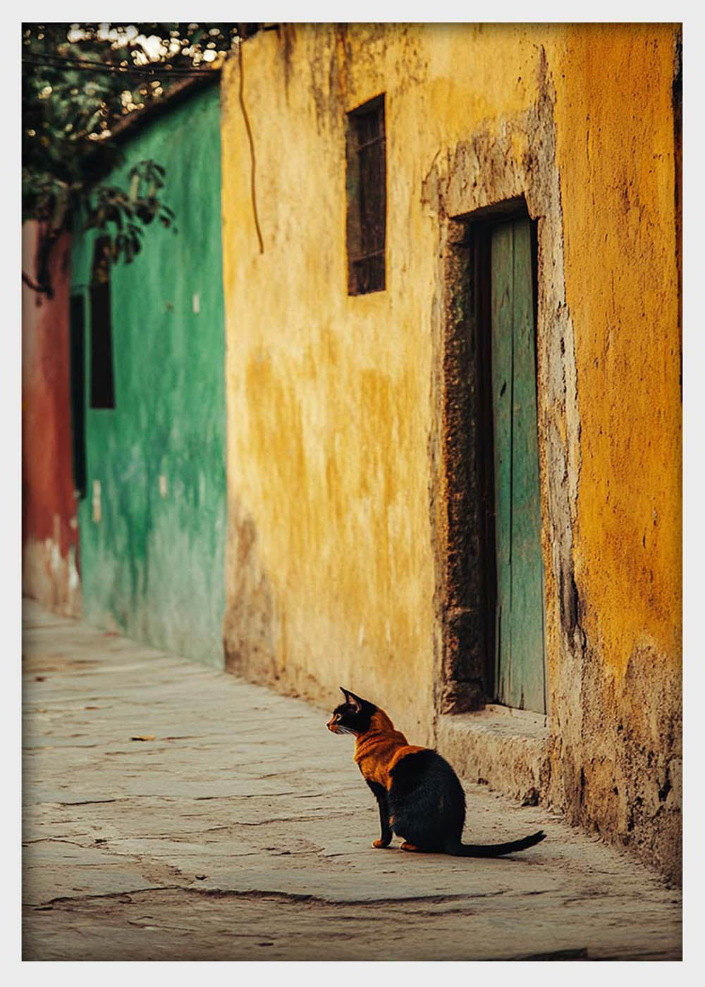 Street Cat by Colorful Walls Canvas Wall Art & Poster Print | Rustic Alleyway Photography – T1334 – Aiprintlab
